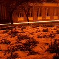 Az első hó