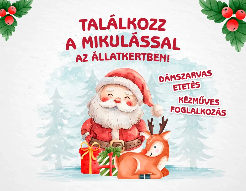 zoobudapest_mikulas_2025_web-1024x793.webp