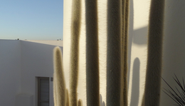 Fotónapló // Fehér falak és kaktuszok / Lanzarote / Kanári-szigetek