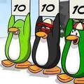 Pingvin 10 10 10