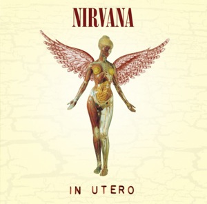 nirvana_in_utero_album_cover.jpg