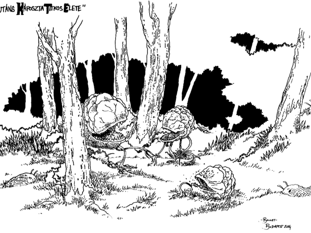 Boulet-óriásrajzok a fesztiválról