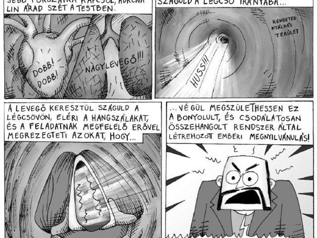 Alfabéta-interjúk: Madarász Gergely