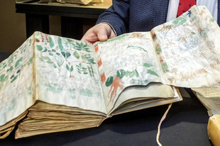 A Voynich-kézirat