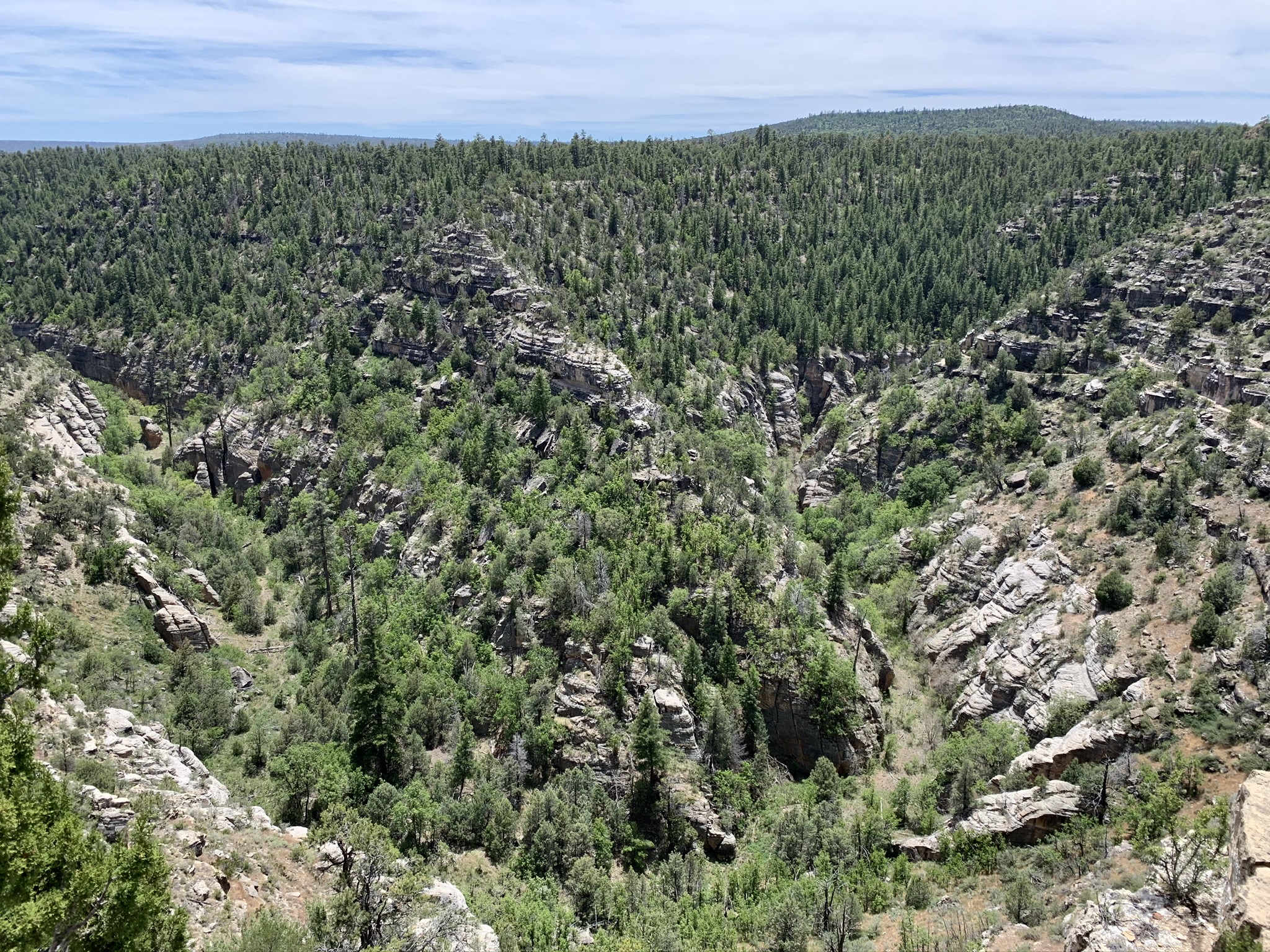 Walnut Canyon