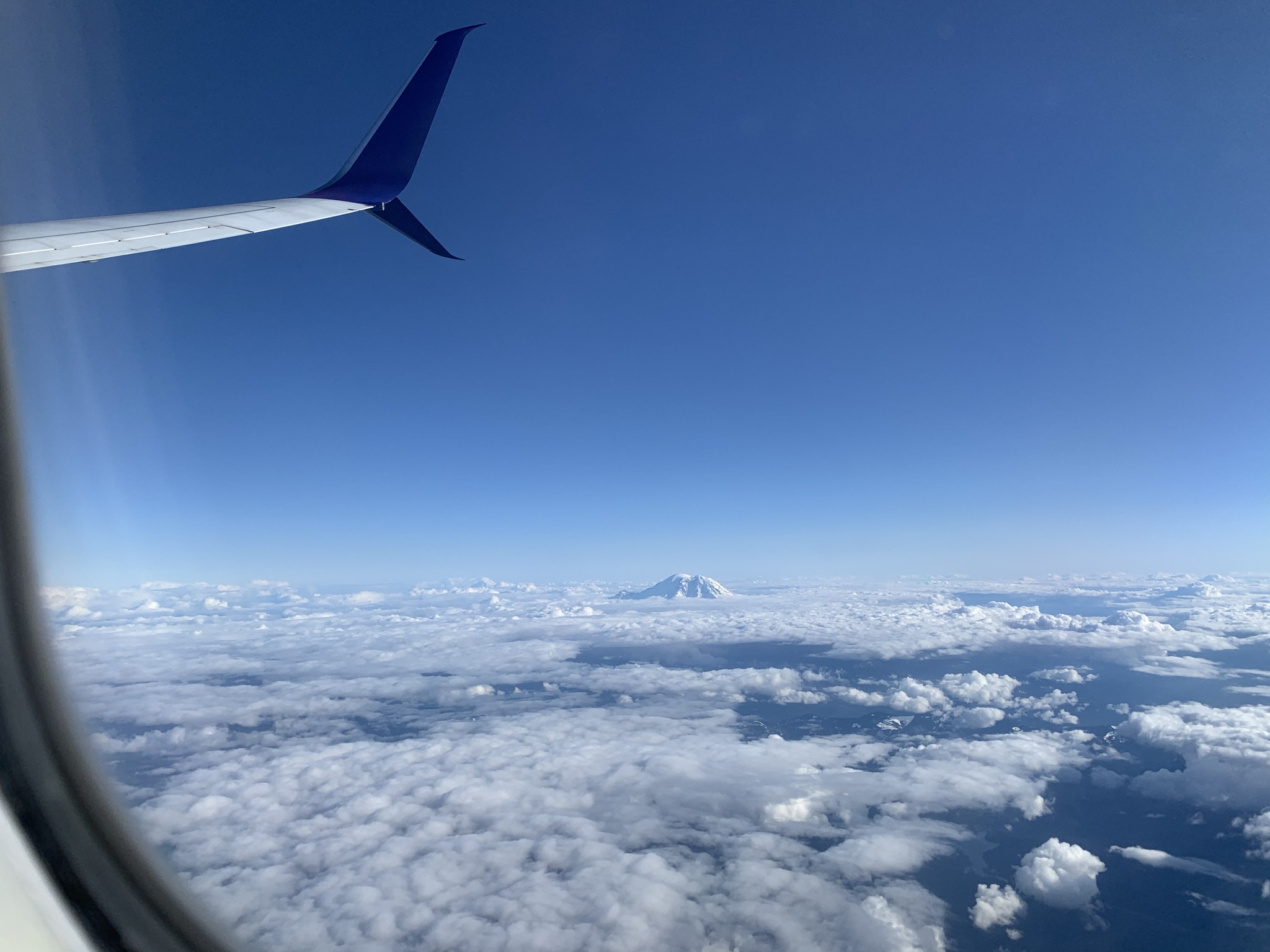 Távolban a Mount Rainier csúcsa