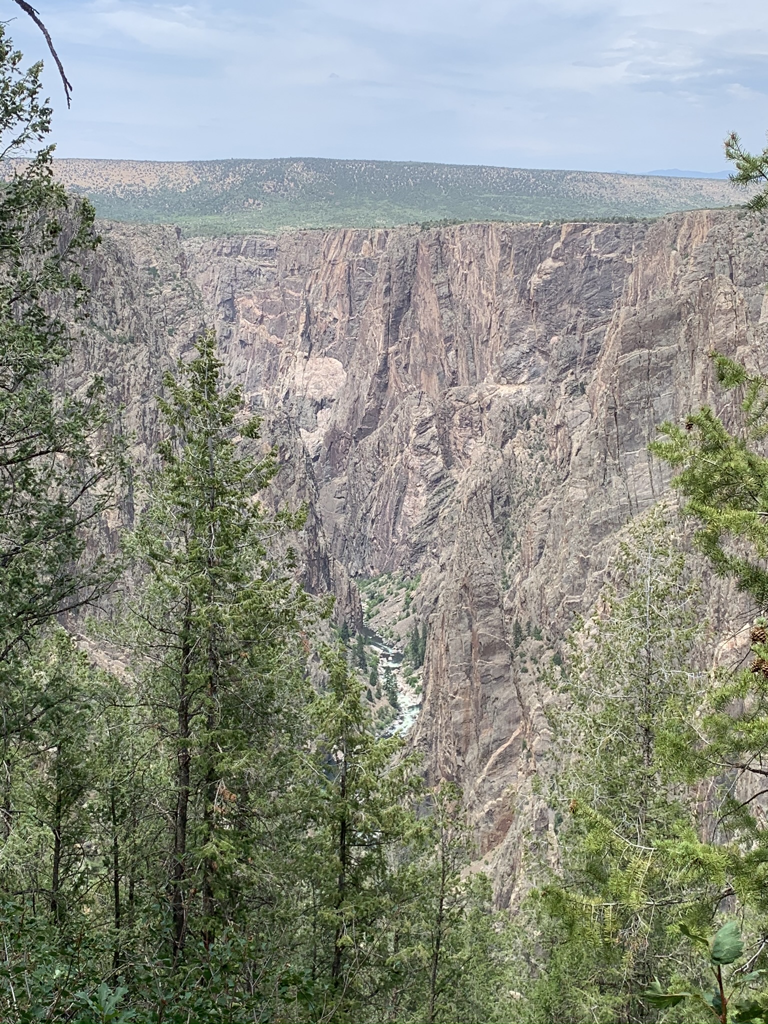 Black Canyon of the Gunnison, a mederben zöldellik a névadó folyó