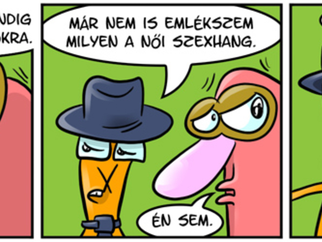 a pornónk