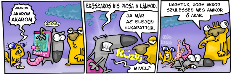 230_akaratos_kis_picsa.jpg