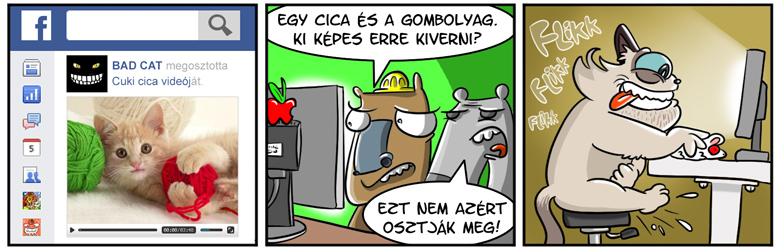 1154_cicas_videok.jpg