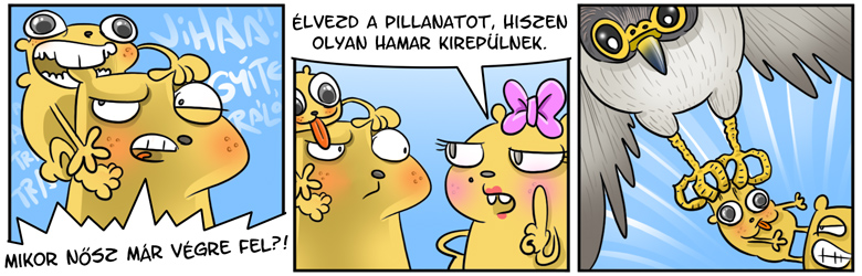 1210_kirepulnek.jpg