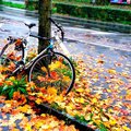 11 ötlet az őszi kerékpározáshoz