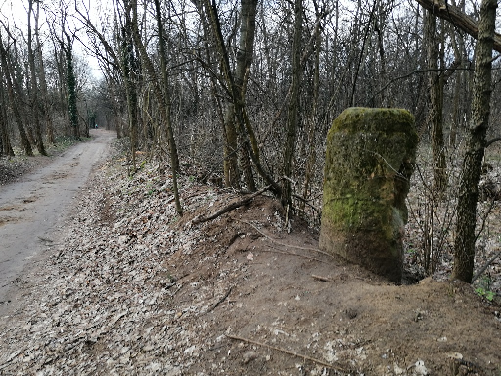 Keresztúri erdő határkővel