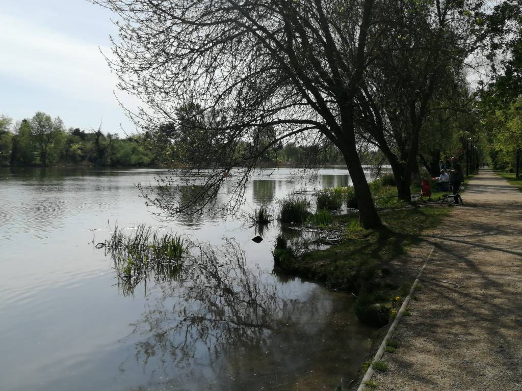 Kolonics György sétány - Csepel, Budapest 21. kerület