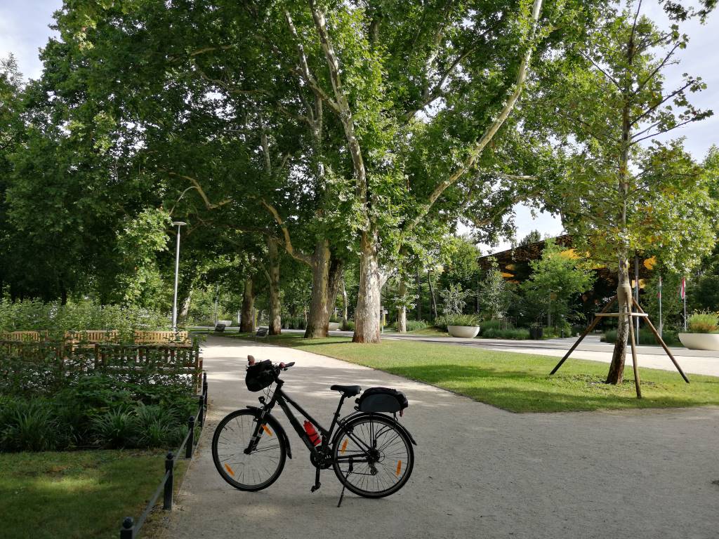 Meri (a bringám beceneve) a Városligetben - Budapest, 14. kerület