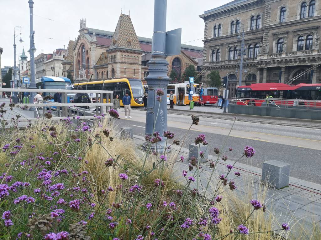 Tömegközlekedési eszközök, amiket kicsik és nagyok egyaránt kíváncsian nézegettek, fotóztak / Európai Mobilitási Hét - Autómentes Hétvége - Fővám tér, Budapest