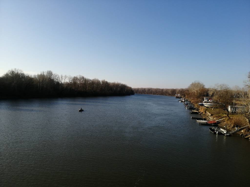 Holt-Tisza