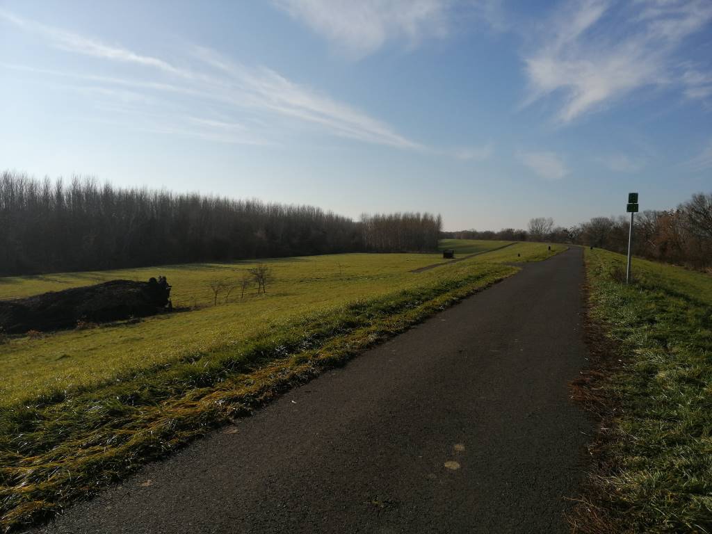 A kép bal alsó részén egy tövestől kidőlt fa, a kép közepe táján, a kerékpárút mellett balra pedig egy pihenőhely. Hármat láttam útközben, de mindegyik olyan volt, mintha kissé bedőlt, beszakadt volna a teteje. Lehet, hogy direkt van benne dőlés...?