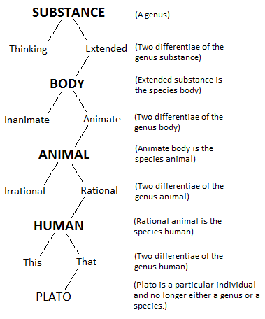 Porphyrian_Tree1.png