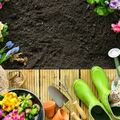Milyen egy jó kertészeti webáruház?