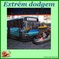 Extrém dodgem