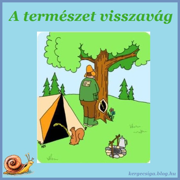 A természet visszavág.jpg