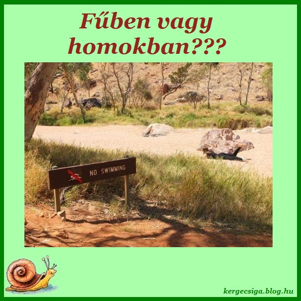 Fűben vagy homokban.jpg