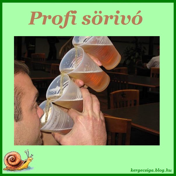 Profi sörivó.jpg