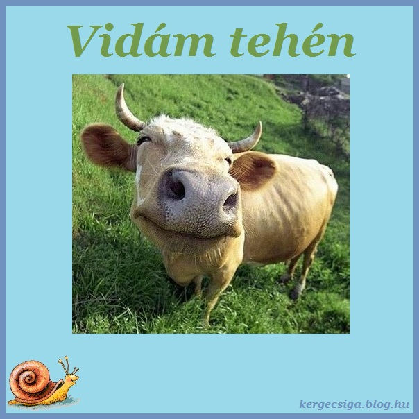 Vidám tehén.jpg