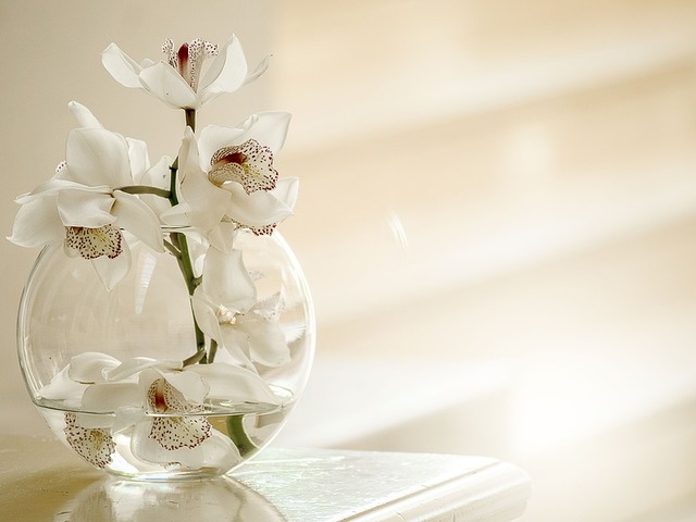 Ezeket ne tedd az orchideáddal!