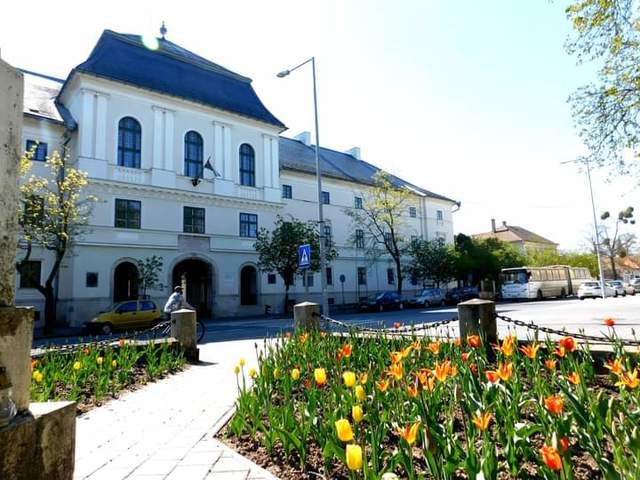 Sárospatak csodás tulipánjai