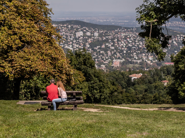 Segítsünk Pokorni Zoltánnak és a Normafának!