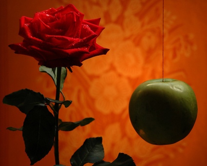 apple-rose.jpg