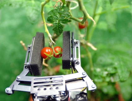 robotic-garden-2.jpg