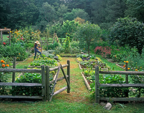 potager-garden-country-living.jpg