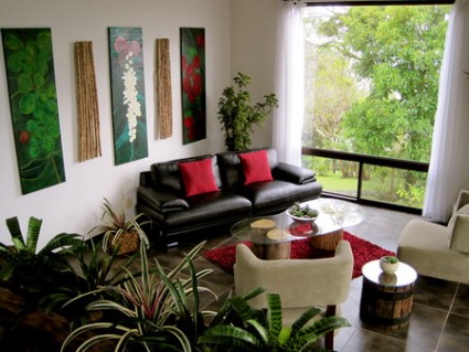 Indoor-Plants-in-Small-Living-Room.jpg