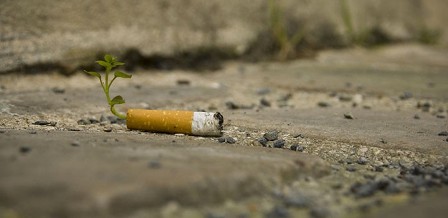 Cigarette-Butts-Are-Transformed-Into-Plants-4-720x350.jpg