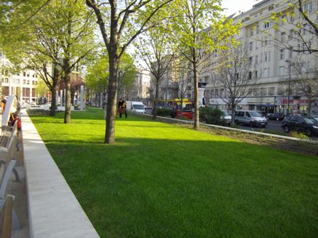 A parkosítás munkálatai elsősorban a gyepfelületeken látszódnak