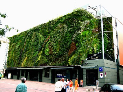 halles_avignon_1 Provence.jpg