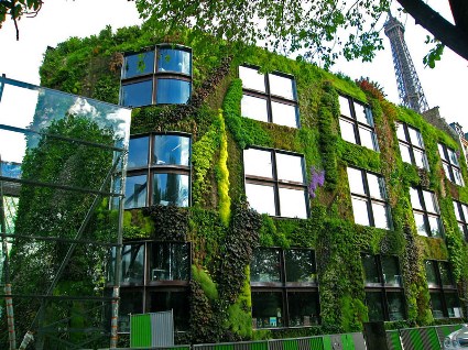 quai_branly_museum_vertical-wall-garden.jpg