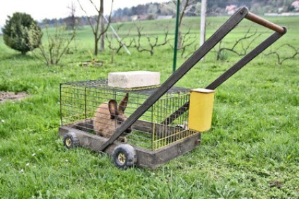 Rabbit Lawnmower.jpg