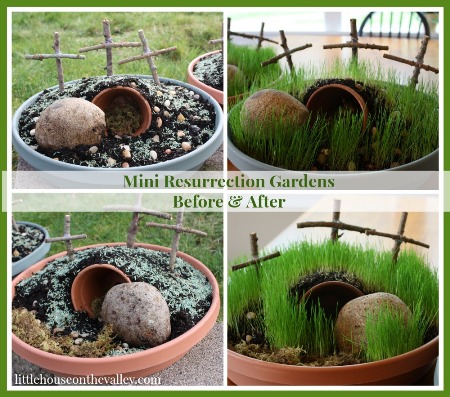 mini-gardens-before-and-after.jpg