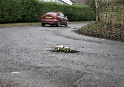 pothole_garden_03.png