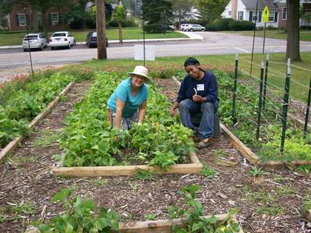 MGs-raised-beds.jpg