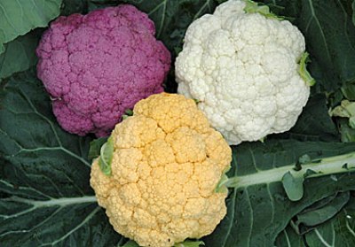 cauliflower.jpg