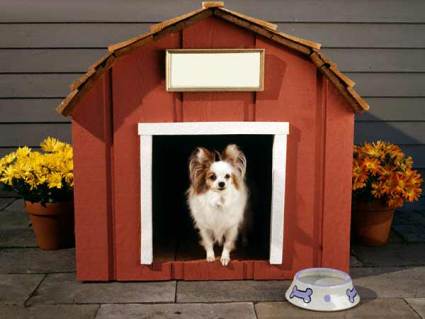 dog-house.jpg