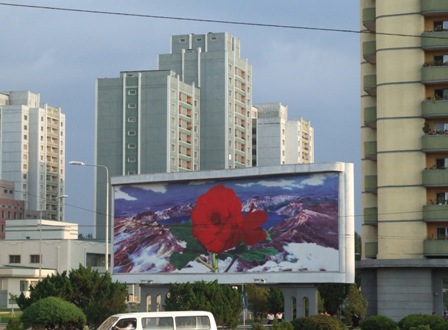 Pyongyang_Propaganda_Kimjongilia.JPG