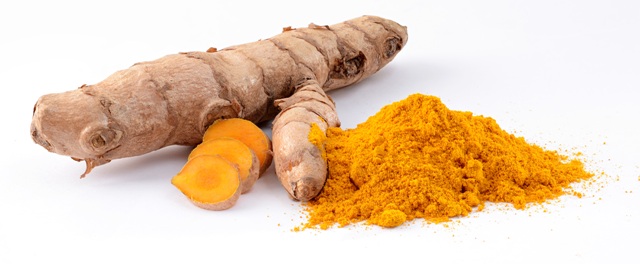 curcuma_longa_roots.jpg