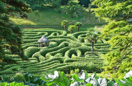 Glendurgan Garden.jpg