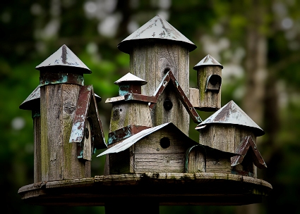 Bird-house.jpg